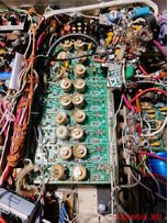 Клопик плюс