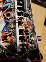 Клопик плюс